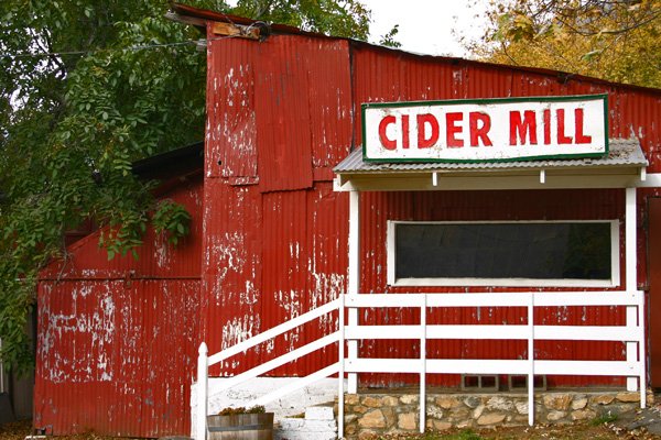 Finding peace apple picking in Glen Oak, California